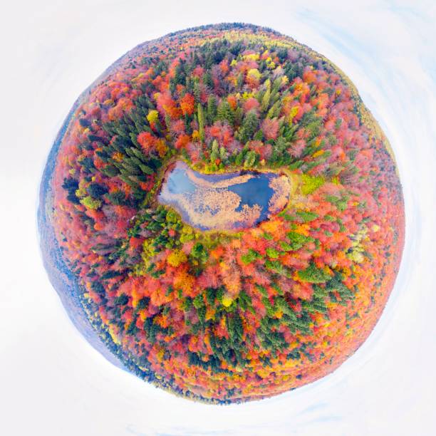 istock Synevyr lake autumn mountains 1351327246
