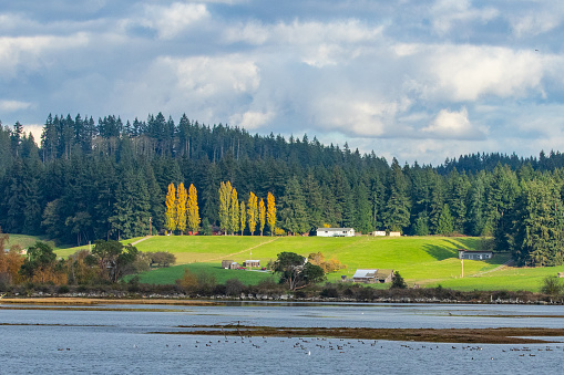 View of Deer Lagoon and Neighboring Farms on Whidbey Island Washington on a Cloudy Day
