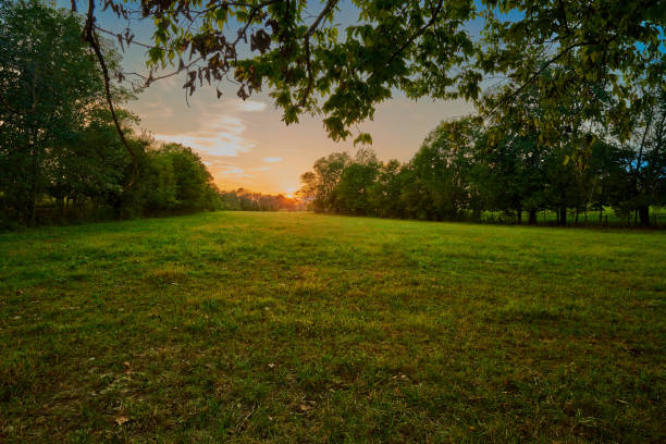 istock Sunset on Open Green Field in Kentucky. 1351339206