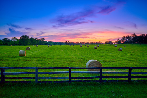 Round hay bails in a field at sunset with fence in the foreground.