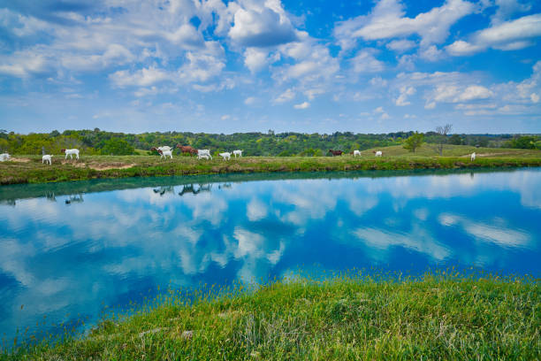 Country farm land and reflection in Byron bay area, New South Wales, Australia.