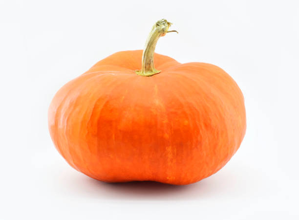istock Bright orange pumpkin isolated on white background. 1351342352