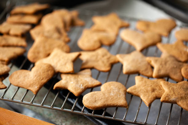 A batch of homemade ginger snaps / ginger bread biscuits on a metal wire rack in a domestic kitchen. Ginger snaps are traditional Christmas biscuits in many countries. Natural light.