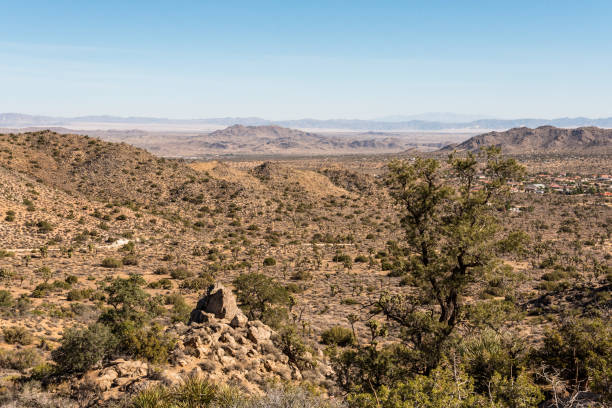 istock Great desert landscape in Joshua Tree National Park 1351344695