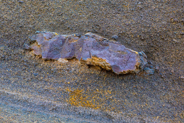 Pahoa, Hawaii Island, Hawaii, USA - July 15, 2025: Pohoiki Black Sand Beach. Big and small stones and sand