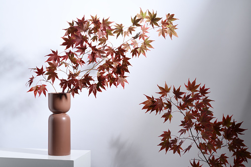 Autumnal composition with red maple leavea