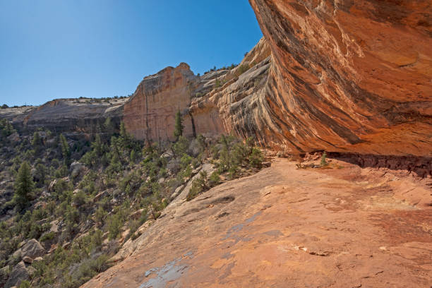 istock Colorful Sandstone Ledge in the Desert 1351345223