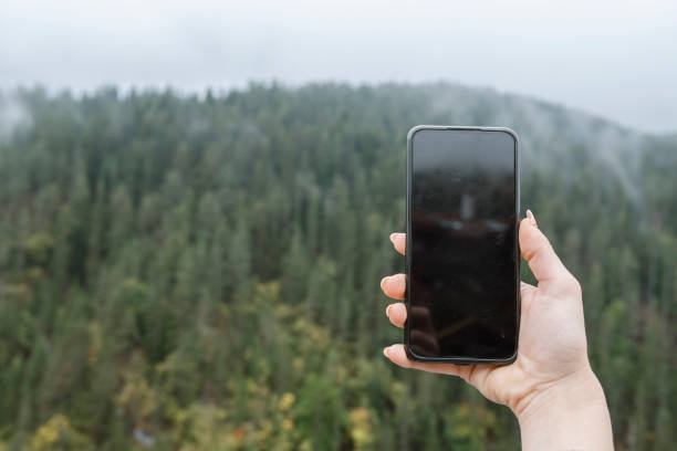 istock Hand Holding Smartphone Against Beautiful Forest 1351346277