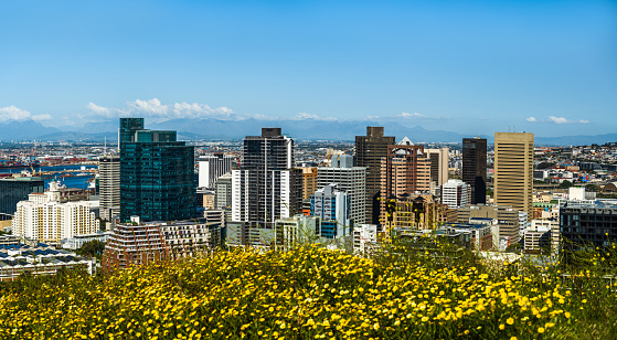 Panoramic shot of Cape Town city on a spring day afternoon