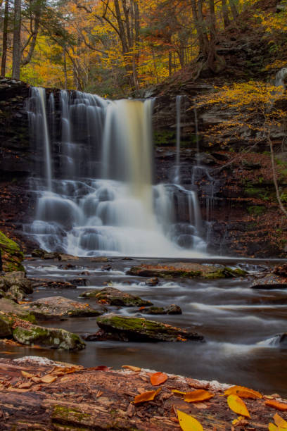 istock Scenic waterfall in Pennsylvania in autumn 1351347803