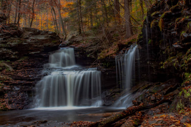istock Scenic waterfall in Pennsylvania in autumn 1351348425
