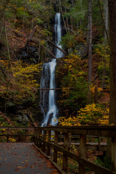 istock Scenic waterfall in Pennsylvania in autumn 1351348544