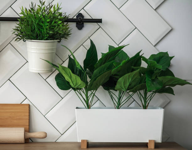 istock Minimalistic kitchen background, pots with green plants on white wall background on a wooden table 1351349610