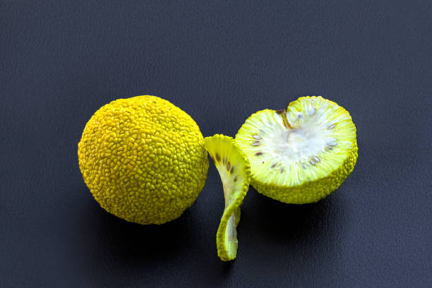 Maclura on black background. Whole fruit, half and slice. Maclura, Adam's apple or False orange. Milky juice is abundantly released on slice. Juice contains valuable substances. cutter insect repellant stock pictures, royalty-free photos & images