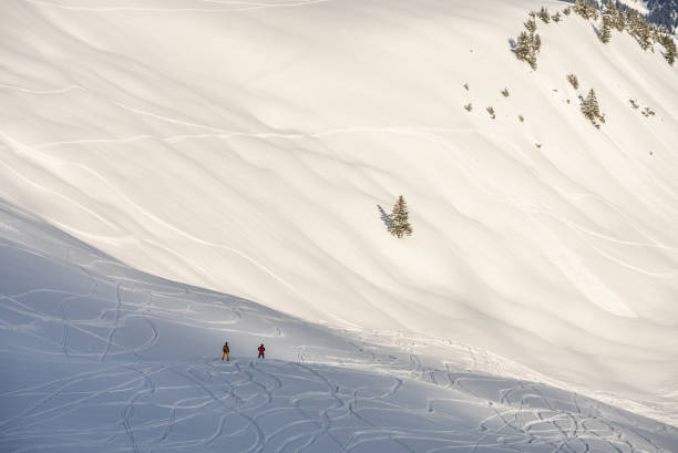 istock Freeride in fresh powder snow 1351351503