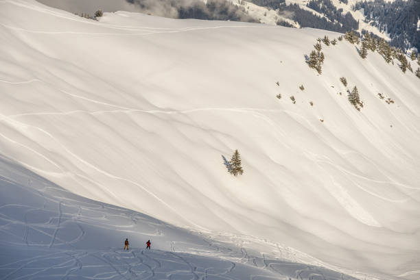 istock Freeride in fresh powder snow 1351351541