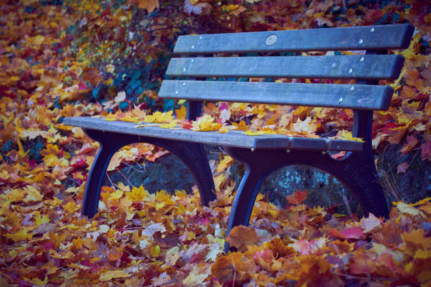 istock Park bench covered with leaves in Furth Germany 1351352534