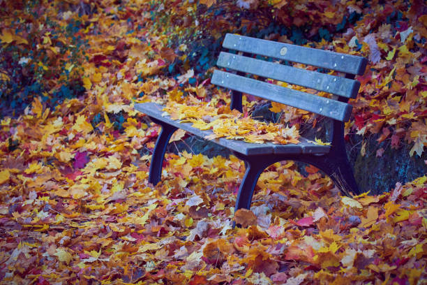 istock Park bench covered with leaves in Furth Germany 1351352536
