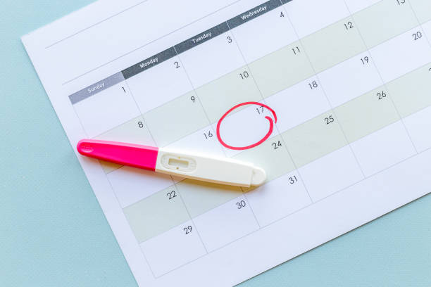 istock Pregnancy test on calendar. Time to check pregnancy day 1351355011