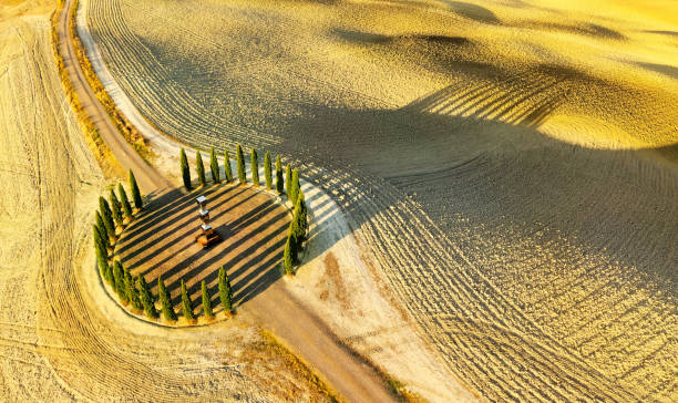 Aerial view of the beautiful hills of the Val d'Orcia in Tuscany with the cypress circle shape grove near Montalcino, Italy, hills cultivated with wheat, Ionic column by Helidon Xhixha, Reflexes in the middle stock photo