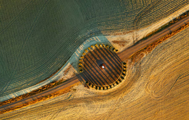aerial view of the beautiful hills of the val d'orcia in tuscany with the cypress circle shape grove near montalcino, italy, hills cultivated with wheat, ionic column by helidon xhixha, reflexes in the middle - val tuscany cypress tree italy imagens e fotografias de stock