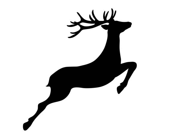 ilustraciones, imágenes clip art, dibujos animados e iconos de stock de decoración navideña silueta de reno, motivo navideño de ciervo,
ilustración vectorial aislada sobre fondo blanco - reindeer