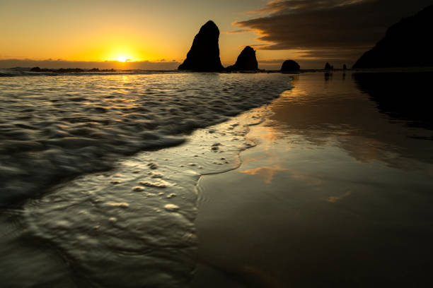 istock Golden sunrise by the sea 1351357577