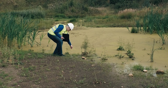 Ecologist in a white helmet takes a sample of water in swampy pond. Then the man enters the data into the documents. The concept of crude oil spill and waterlogging of reservoirs due to dirty riverbed