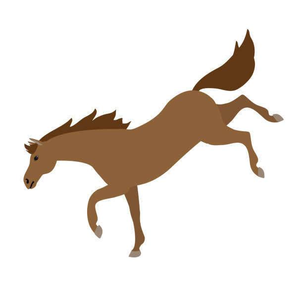 120+ Clip Art Of Horse Racing Logos Illustrations, Royalty-Free Vector ...