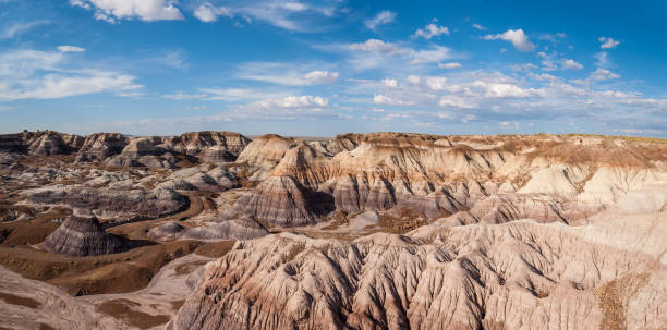 formação de badlands em blue mesa - petrified forest national park - fotografias e filmes do acervo