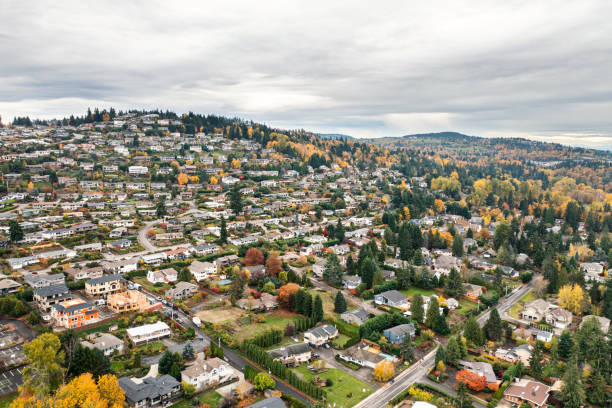 istock Somerset Neighborhood in Bellevue 1351364468