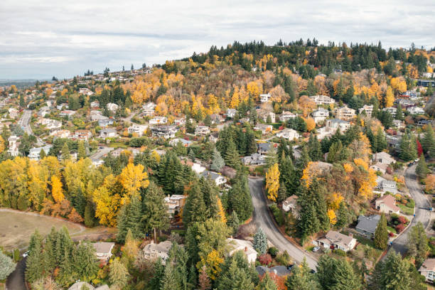 istock Somerset Neighborhood in Bellevue 1351364536