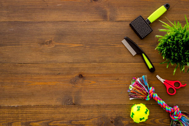 istock Pet accessories and grooming tools set with toys, top view 1351365296