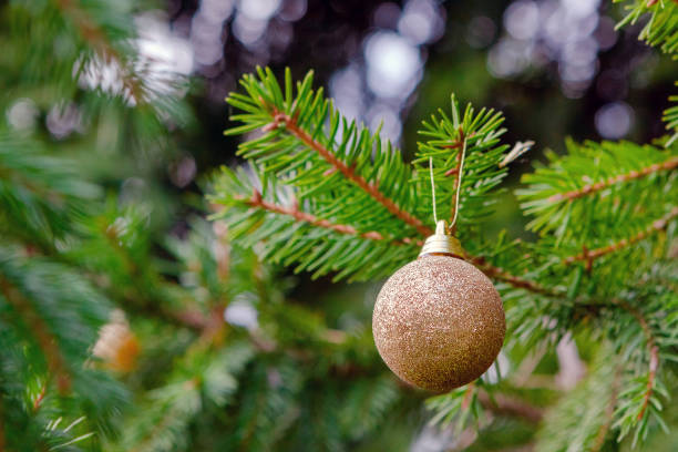 istock Green spruce branch with christmas shiny toy 1351368328