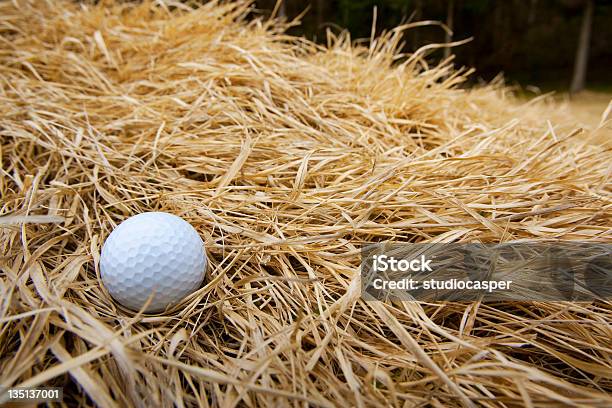 Golfball にブッシュ - アウトドアのストックフォトや画像を多数ご用意 - アウトドア, インパクト, ゴルフ