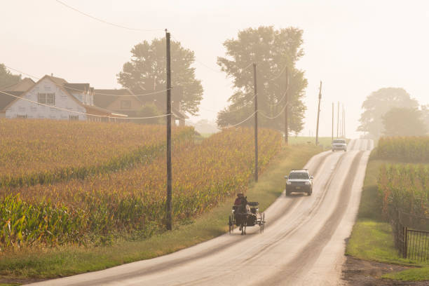 An Amish man riding a buggy stock photo