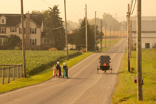 Ronks, Pennsylvania, December 04, 2022 - A View of Two Amish Horse and Buggies Traveling Down a Countryside Road Thru Farmlands on a Sunny December Day