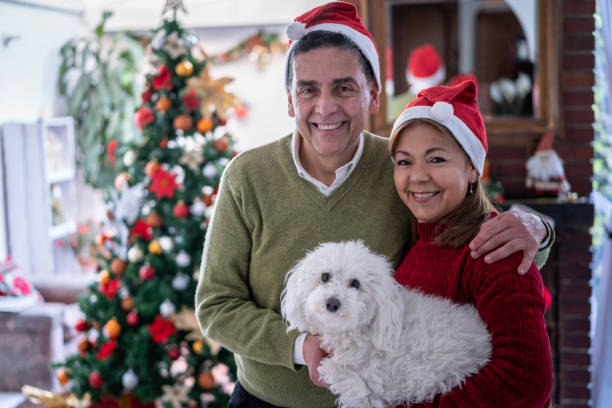 porträt eines lateinamerikanischen paares zu hause, das die hüte des weihnachtsmanns trägt und lächelnd vor der kamera steht, während es sein süßes hundehaustier trägt - latin american and hispanic ethnicity senior adult mature adult couple stock-fotos und bilder