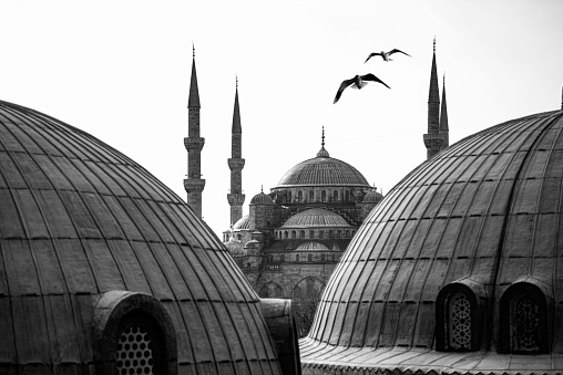 Part of Hagia Sophia and Blue Mosque in Istanbul ,Turkey