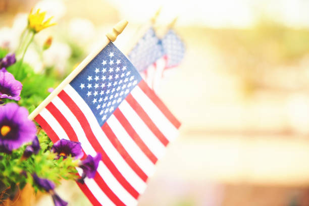 scène extérieure avec des drapeaux américains et des pétunias en fleurs sous un soleil chaud - flag day photos et images de collection