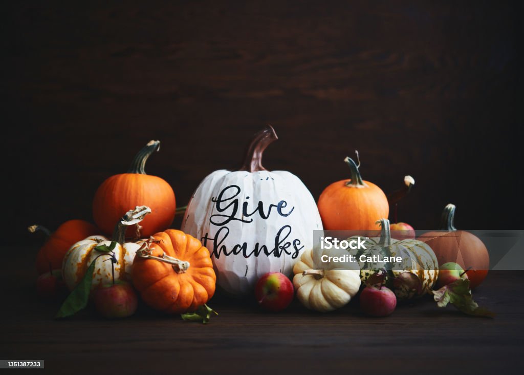 Thanksgiving Arrangement with Assorted Pumpkins and GIVE THANKS Message Autumn Stock Photo