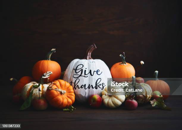 Thanksgiving Arrangement With Assorted Pumpkins And Give Thanks Message Stock Photo - Download Image Now