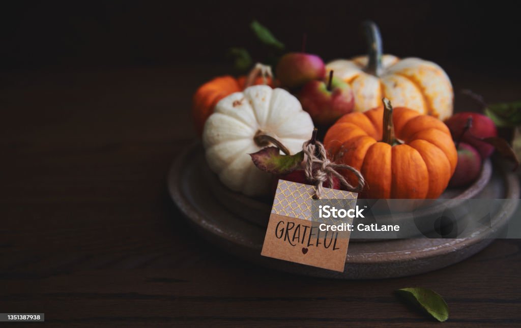 Fall background with a collection of pumpkins on rsutic plates with GRATEFUL message American Culture Stock Photo