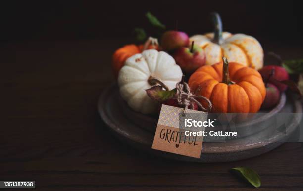 Fall Background With A Collection Of Pumpkins On Rsutic Plates With Grateful Message Stock Photo - Download Image Now