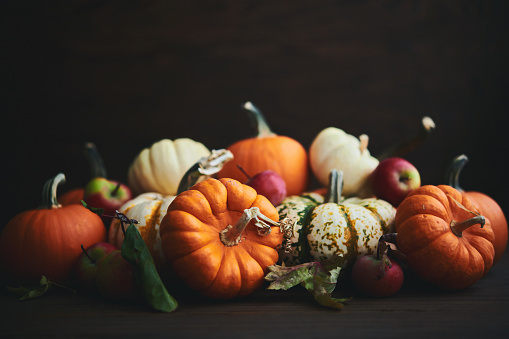 Fall background with a collection of pumpkins and crabapples in dark setting