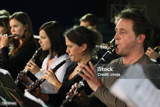 Musicians At The Concert Playing Stock Photo - Download Image Now - Orchestra, Woodwind Instrument, Clarinet