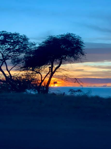 istock Sunsets of Western Oahu, Hawaii 1351397807