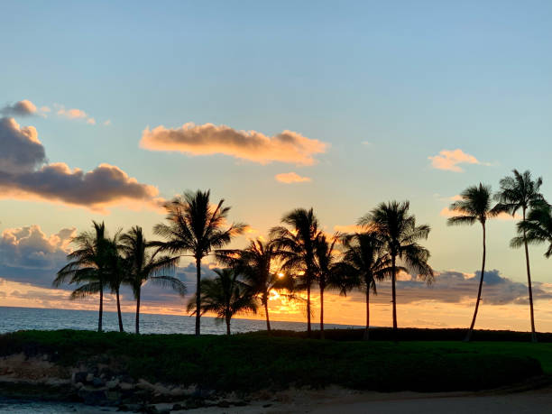 istock Sunsets of Western Oahu, Hawaii 1351397808
