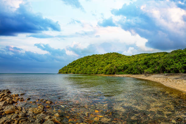 Wilde beach Con Dao island, Vietnam with blue water. Wide landscape of Con Dao island, Vietnam