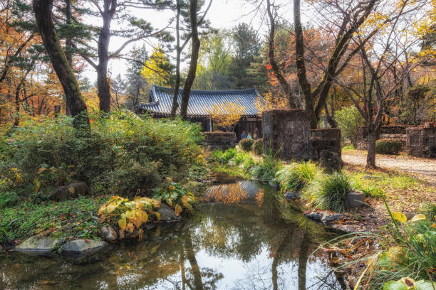 istock Nami Island Pavilion 1351402679